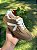 Tenis Vizzano - Imagem 3