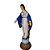 Nossa Senhora do Sorriso 62cm em Resina com Resplendor - Imagem 2