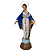 Nossa Senhora do Sorriso 62cm em Resina com Resplendor - Imagem 1