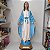 Nossa Senhora das Graças 90cm em Gesso - Imagem 7