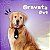 10 Gravata Aplique Cachorro Pet Shop Banho Tosa Halloween - Imagem 2