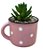 Cachepot Poá com Suculenta Rosa - Imagem 2