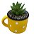Cachepot Poá com Suculenta Amarelo - Imagem 2