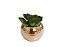 Vaso Dourado com Suculenta - Imagem 4