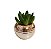 Vaso Dourado com Suculenta - Imagem 2