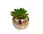 Vaso Dourado com Suculenta - Imagem 3