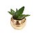 Vaso Dourado com Suculenta - Imagem 1