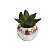 Vaso Prata com Suculenta - Imagem 3