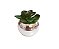 Vaso Prata com Suculenta - Imagem 1