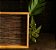 Bandeja de Madeira Pinus C/ Estampa Bambu 45x30x5cm - Woodart - Imagem 2