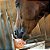 Sal Rosa Himalaia Cavalo Equino Bovino Caprino 1 Bloco Pedra - Imagem 4