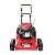 Cortador De Grama A Gasolina 6hp 4t Garthen Com Recolhedor - Imagem 2