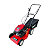 Cortador De Grama A Gasolina 6hp 4t Garthen Com Recolhedor - Imagem 1