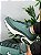 Tênis Nike Air Max Portal Verde - Imagem 3