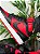 Tênis Nike Court Borough MID 2 RED/BLK CD7782-602 - Imagem 2
