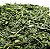 Cha Verde Importado - Imagem 1