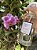 Home Spray Flor de Cerejeira 250ml - Imagem 1
