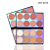 PALETA MULTIFUNCIONAL - BLUSH X CONTORNO X ILUMINADOR - 16 CORES - MISS RÔSE - Imagem 2