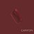 GLOSS LABIAL COLORIDO - ALTO PODER DE BRILHO - 3,2g - CATHARINE HILL - Imagem 6