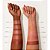 BT SHIMMER BLUSH BAKED - 08g - BRUNA TAVARES - Imagem 12