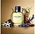 Dolce&Gabbana Pour Homme Dolce & Gabbana - Perfume Masculino - Eau de Toilette 125ml - Imagem 2