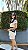 Conjunto Odete - Imagem 2