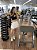 TOP NATI ALÇA UNICA SUPPLEX LIGHT - TECIDO SEM BRILHO - Imagem 9