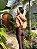 CORTA VENTO JOGGER CAPPUCCINO - Imagem 14