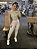 CALÇA LEGGING GLOW CROMO - Imagem 5