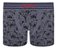 Cueca Boxer Infantil Estampa Ursinhos Sem Costura Lupo - Imagem 3