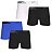 Kit 2 Cuecas Boxer Adulto Microfibra Sem Costura Lupo - Imagem 1
