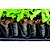 Gotejador Autocompensado e Antidrenante Supertif ND - Imagem 3