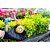 Temporizador Manual para Irrigação 120min Vonder - Imagem 4
