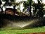 Microaspersor Aspersor com Haste P4 Irrigação Hortas Jardim - Imagem 4