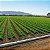 Mangueira Cega Tubo P/ Gotejamento PE 16mm PN30 Irrigação - Rolo 100 metros - Imagem 6