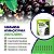 Fertilizante para Jabuticabeiras Npk+9 Adubo Jabuticaba Farelado Nutrientes Forth Jardim 400g - Imagem 4