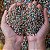 Fertilizante para Jabuticabeiras Npk+9 Adubo Jabuticaba Farelado Nutrientes Forth Jardim 400g - Imagem 8