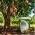 Adubo Fertilizante para Árvores Frutíferas Crescimento e Produção de Frutas 400g - Imagem 3