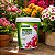Fertilizante Forth para Flores Vaso e Jardim Auxilia a Floração Nutrientes 400g - Imagem 6