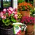 Fertilizante Forth para Flores Vaso e Jardim Auxilia a Floração Nutrientes 400g - Imagem 5