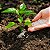 Fertilizante Adubo Forth para Plantas de Jardim Nutrição Via Solo 3kg - Imagem 5