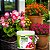 Fertilizante Adubo para Flores em Vaso e Jardins Ajuda a Floração 3kg - Imagem 5