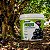 Fertilizante Jabuticabeira Adubo p/ Jabuticaba Mineral Misto 3kg - Imagem 2