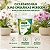 Fertilizante Misto para Manutenção e Cultivo de Orquídeas 20-20-20 Forth Jardim 100g - Imagem 6