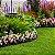 Adubo Fertilizante Manutenção de Plantas, Jardim e Gramado Saco 10kg - Imagem 6