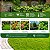 Adubo Fertilizante Manutenção de Plantas, Jardim e Gramado Saco 10kg - Imagem 3