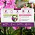 Fertilizante Orgânico Auxilia a Floração de Orquídeas Pronto Uso Spray 500ml - Imagem 4