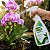 Fertilizante Adubo Orgânico p/ Manutenção de Orquídeas Nutrição das Folhas 500ml - Imagem 8
