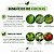 Fertilizante Enxofre Auxilia Folhas Verdes Nutrientes Frutos Concentrado 500ml - Imagem 4