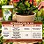 Fertilizante Bokashi Adubo Orgânico para Hortas e Plantas Via Solo 250g - Imagem 2